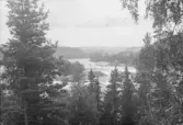 Vy över Nämforsen.