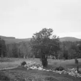 Borlänge, Kälarvet.