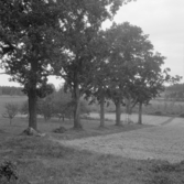 Borlänge, Torsång, L.Ornäs. Fem ekar. 1921-1926.