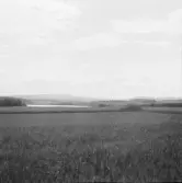 Borlänge, Torsång, Nedre Milsbosjön, Gustafs & Tuna berg i bakgrunden, 1921-1926.