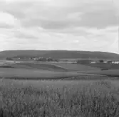 Borlänge, Torsång, Kråkmyra, Milsbo, Nedre Milsbosjön och Risåsen, 1921-1926.