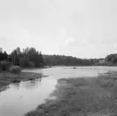 Borlänge, Torsång, Dalviksvikens innersta spets, 1921-1926.