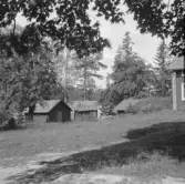 Borlänge, Torsång, Dalvik, uthus och svinstia med halmtak i mitten 1926.