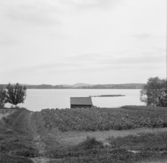 Borlänge, Torsång. Ösjön från Kyna. 1921-1926.