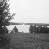 Falun, Vika, Hosjö, Stenverket.