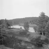 Falun, Vika, Hosjö, Lilla dammen.