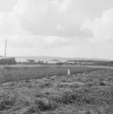 Falun, Vika, Hosjö, Heden.