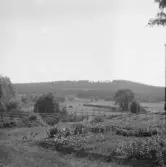 Falun, Vika, Hosjö, Nyhyttan. Brötberget.