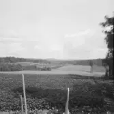 Falun, Vika, Hosjö, Skåpet. Åkrar, dungar, hässjor.