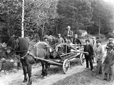 Hästtransport av fälld tjur vid kunglig älgjakt, 1940-tal