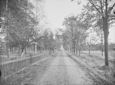 Mo socken. 
Gamla Mo bruk: Landsvägsallén med kyrkan i bakgrunden.
Foto: 10 oktober 1916.
Fotograf: W. Wångström, Ö-vik