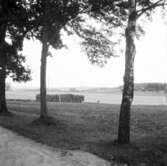 Borlänge, Torsång, L.Ornäs. Ösjön. 
1921-1926.