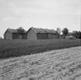 Borlänge, Stora Tuna, Tolsbo. Majäs.