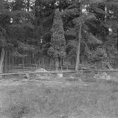 Falun, Vika, Hosjö, Fläck.