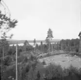 Falun, Vika, Hosjö, Kalvsbäcken, Övre Klingen 1926.
