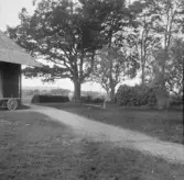 Säter, Gustafs, Enbacka. Från Bobergs. Oles ek, Våbäck. Kyrkan och Enbacka i bakgrunden.