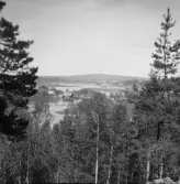 Falun, Vika, Hosjö, Holms kvarn.