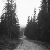 Falun, Källslättens gård och trädgård.