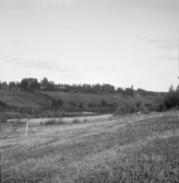 Falun, dammen, Lilla Kårarvet och Nubbsarvet fr. Västanbäck,