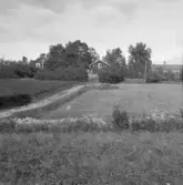 Falun, Kårarvet, dammen, St.Kårarvet.