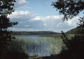 Stora Skogssjön, Grödinge