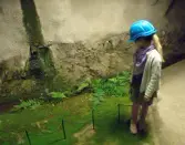 Dieselverkstans 10-årsjubileum.