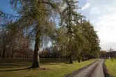 Steninge slott