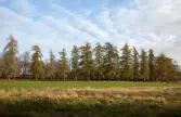 Steninge slott