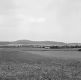 Borlänge, Torsång, utsikt från Tyllahagen 1921-1926.