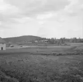 Borlänge, Torsång, Milsbo. Per Olsson gård. Floberget i bakgrunden 1926.