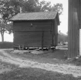 Säter, Gustafs, Våbäck, Sparrens storhärbre.