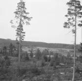 Falun, Vika, Hosjö, Kalvsbäcken i dalen 1926.