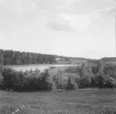 Falun, Vika, Hosjö, Hosjöholmen.