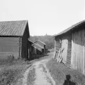 Falun, Vika, Hosjö, Österbo 1926.