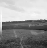 Falun, Finngärde, Sundborn. Rullstensåsen från Finngärde.