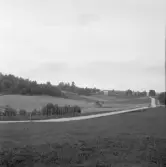 Falun, Sundborn, Edhult, Backa.