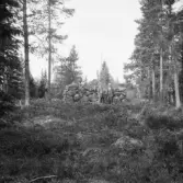 Falun, Sundborn, Skuruhäll. Röse.