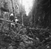Borlänge, Stora Tuna, Dragbergsgattu. (Dragbergsgatan)