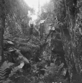 Borlänge, Dragbergsgattu. (Dragbersgatan)