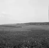 Säter, Gustafs. Storhaga från norr.