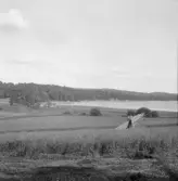 Falun, Vika, Hosjö, Sandviken.