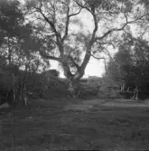 Falun, Vika, Hosjö, Andrakebyn 1926.