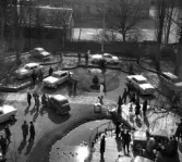 Våren 1954 hade Ford visning av nya bilar i Frihurarhotellets trädgård.