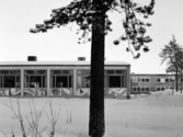 Manhemskolan