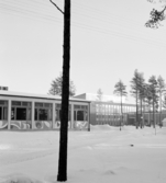 Manhemskolan