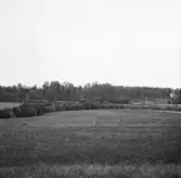 Borlänge, Torsång, Storsund 1921-1926.