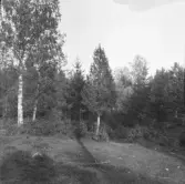 Falun, Vika, Hosjö, Lunån 1926.