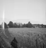 Falun, Vika, Hosjö, Stensarvet.