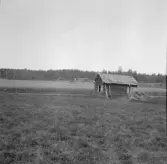 Säter, Gustafs, Bodarna, Risbo Lasses gård i bakgrunden.