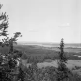 Falun, Vika, Hosjö, Hällsjöberget.